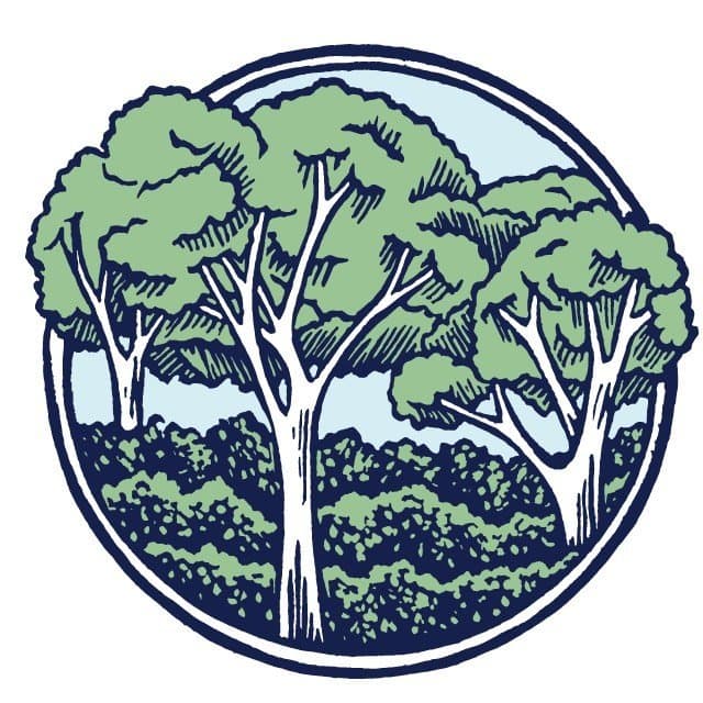 Forecast Coffee Company