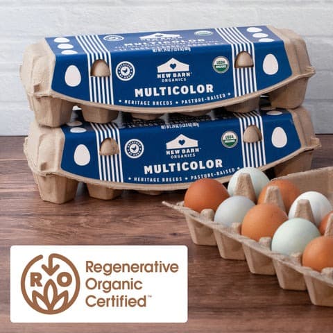 Pasture Raised Multicolor Eggs